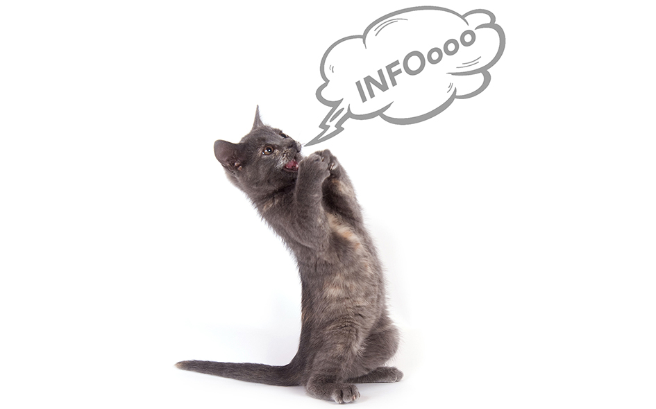 National Winner 2024 und Edelkatze.jpg